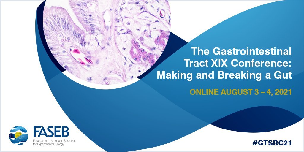 FASEBorg's tweet photo. Interested in the fundamental biology of the gastrointestinal tract and its relationship to gut health and diseases? Follow #GTSRC21 as attendees at our Gastrointestinal Tract XIX Conference share their conference experiences today. #GIResearch https://t.co/DT1xaVzDyV