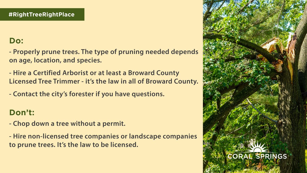 CoralSpringsFL's tweet image. Did you know the two most common damages during a hurricane are electric lines and trees? Make sure to properly prepare the trees around your home. #RightTreeRightPlace

coralsprings.org/trees