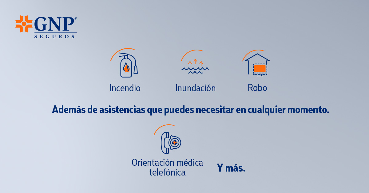 GNPSeguros's tweet photo. ¿Sabías que el Seguro de Hogar GNP te brinda asistencias para los perros o gatos que forman parte de tu familia? Asegura tu casa o departamento, protege tu patrimonio y a los que más quieres 👉 Ingresa a https://t.co/ENWe3wIElB o contacta a tu #AgenteGNP #Viviresincreíble https://t.co/WuxRxygqyk