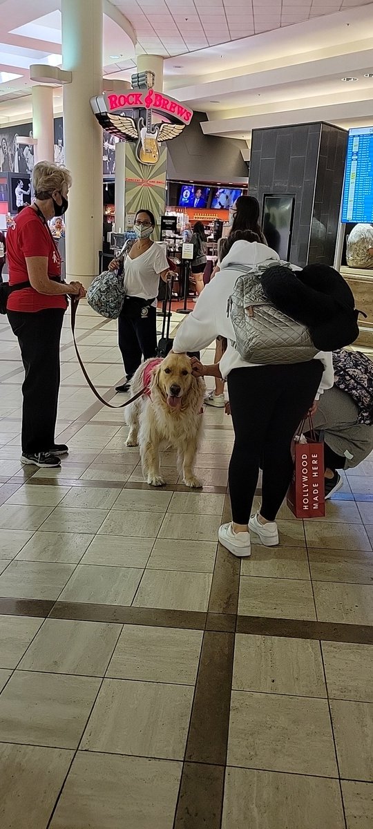 LAX PUP Therapy Dogs tweet media