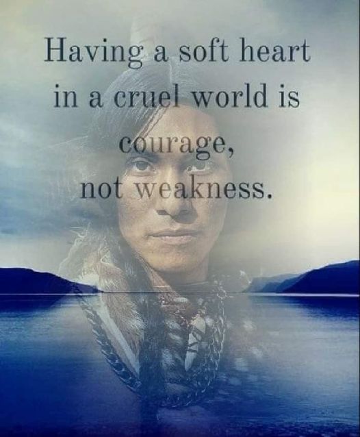 tribalposts's tweet image. #Indigenous #quote #wisdom