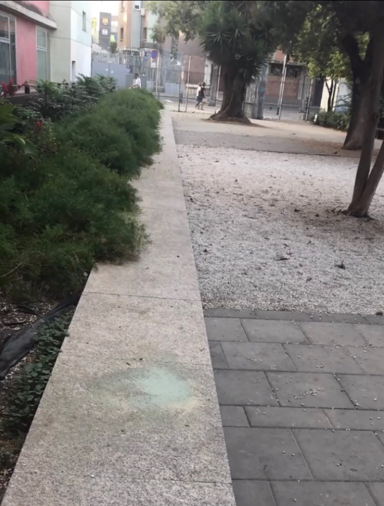 Hoy es un día triste, WP Estanco dice adiós.
Cerramos un viaje lleno de alegrias, de decepciones, de gente maravillosa y de calle.
Para despedirnos, queremos compartir con vosotros un pedacito del famoso parque que tanto nos ha acompañado durante esta etapa.
Un abrazo a todos🥺💔