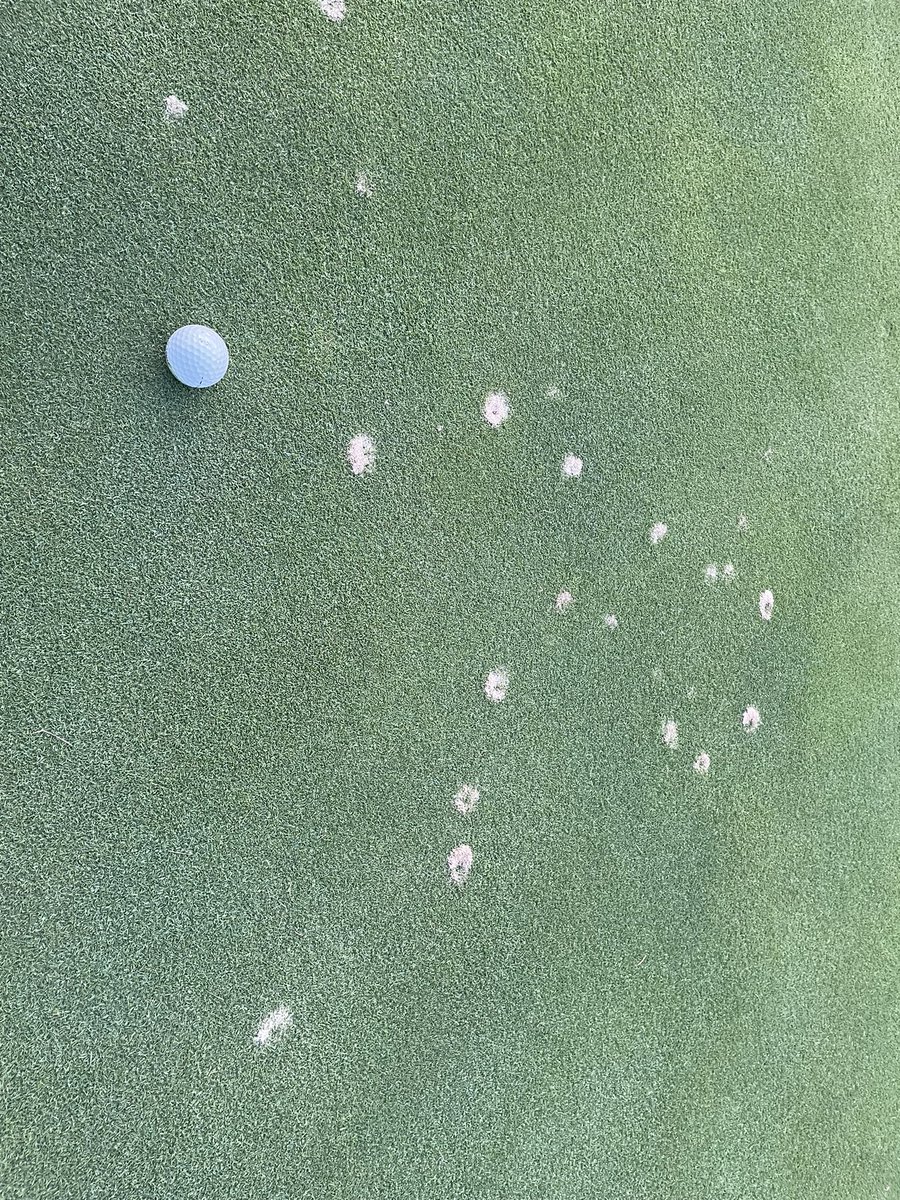 Got ants on your greens? <a href="/BASFTurf_us/">BASF Turf US</a> Brand New Insecticide will take care of 🐜 and surface feeders for 30 whole days!!!!!