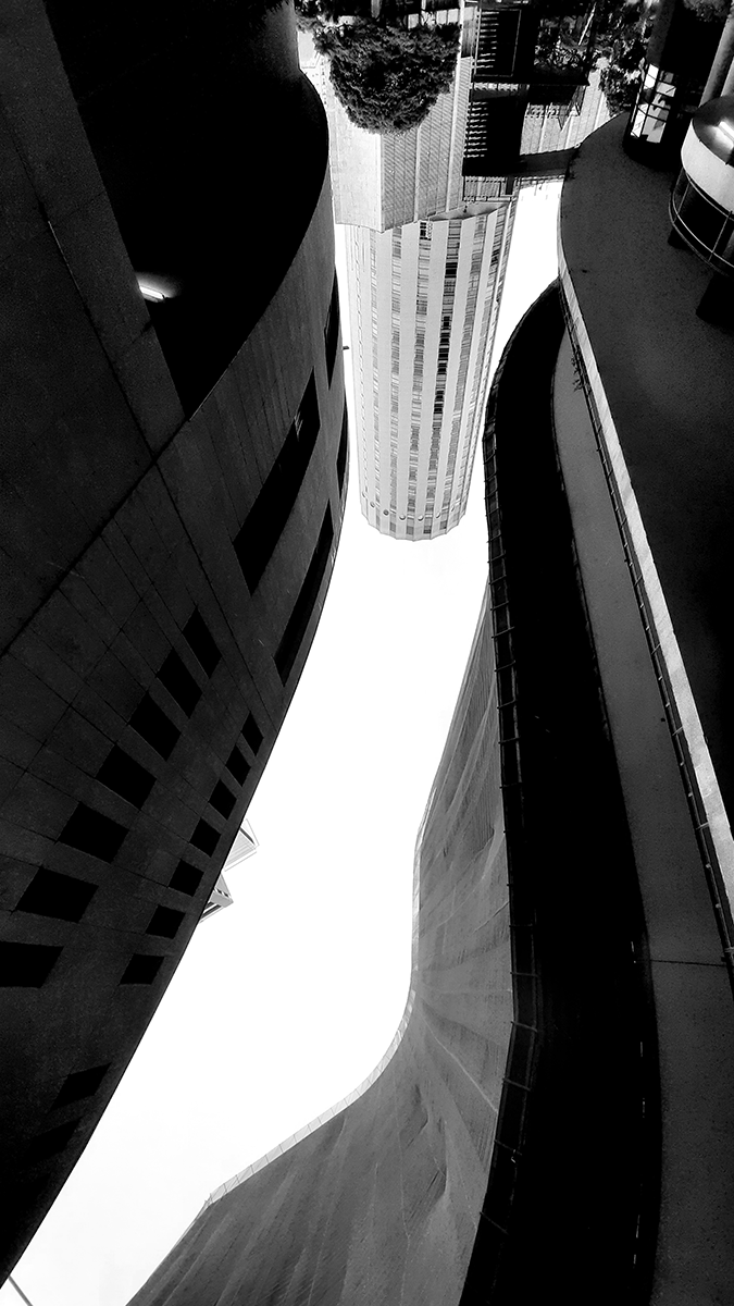 artpardini's tweet photo. Babilonia-SP#2 - available on @kalamint_io
4/5 ed.
2 #XTZ
https://t.co/9xYMQCZCfG
A small cut from Sao Paulo downtown.
#kalamint #Kala184 #nftphotography #blackandwhitephoto #streetphotography #edificiocopan https://t.co/GPs71q3cCs