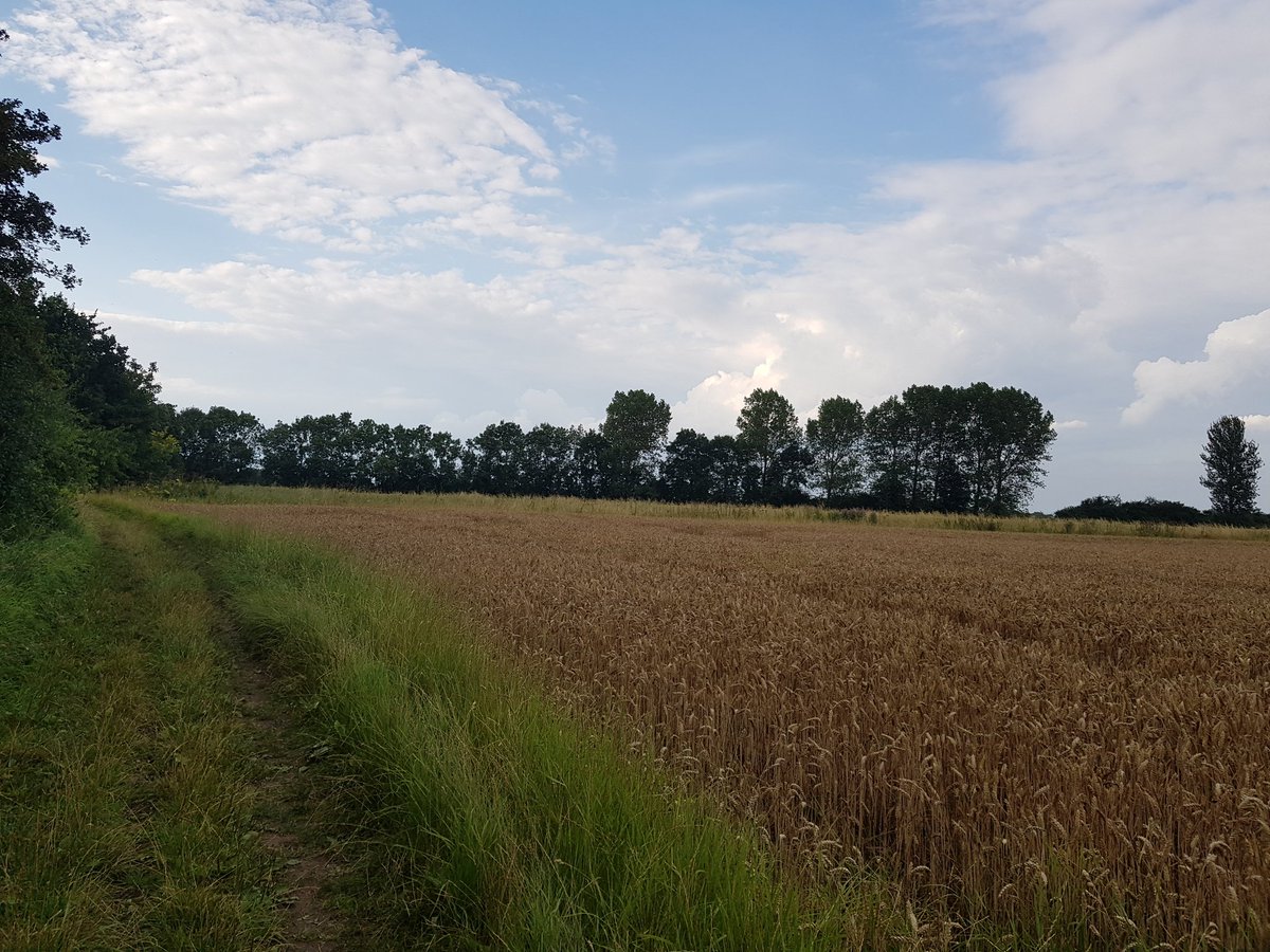 FenlandOf's tweet photo. Lovely walk up the byway and back with my dad! Let's keep our tracks grassy, our countryside there and nature thriving because that is our future 🌿🦋🌍 https://t.co/DHnFn8WXjm