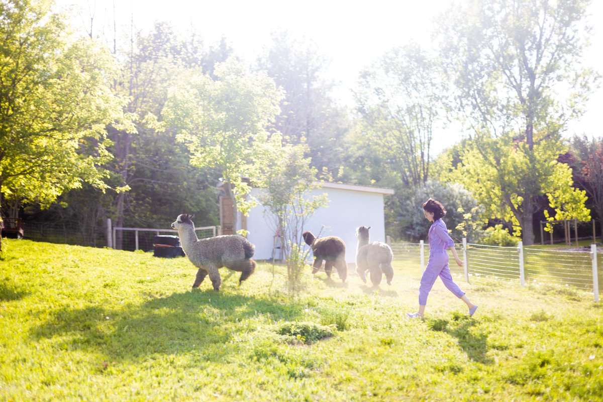 My current Dream Reality✨💞💜🌿🦙