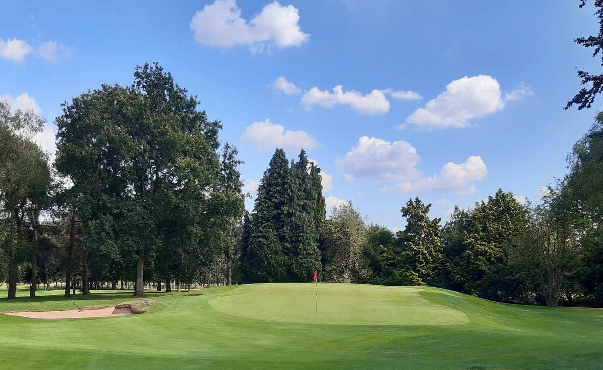 Mandy Ambert tweet media