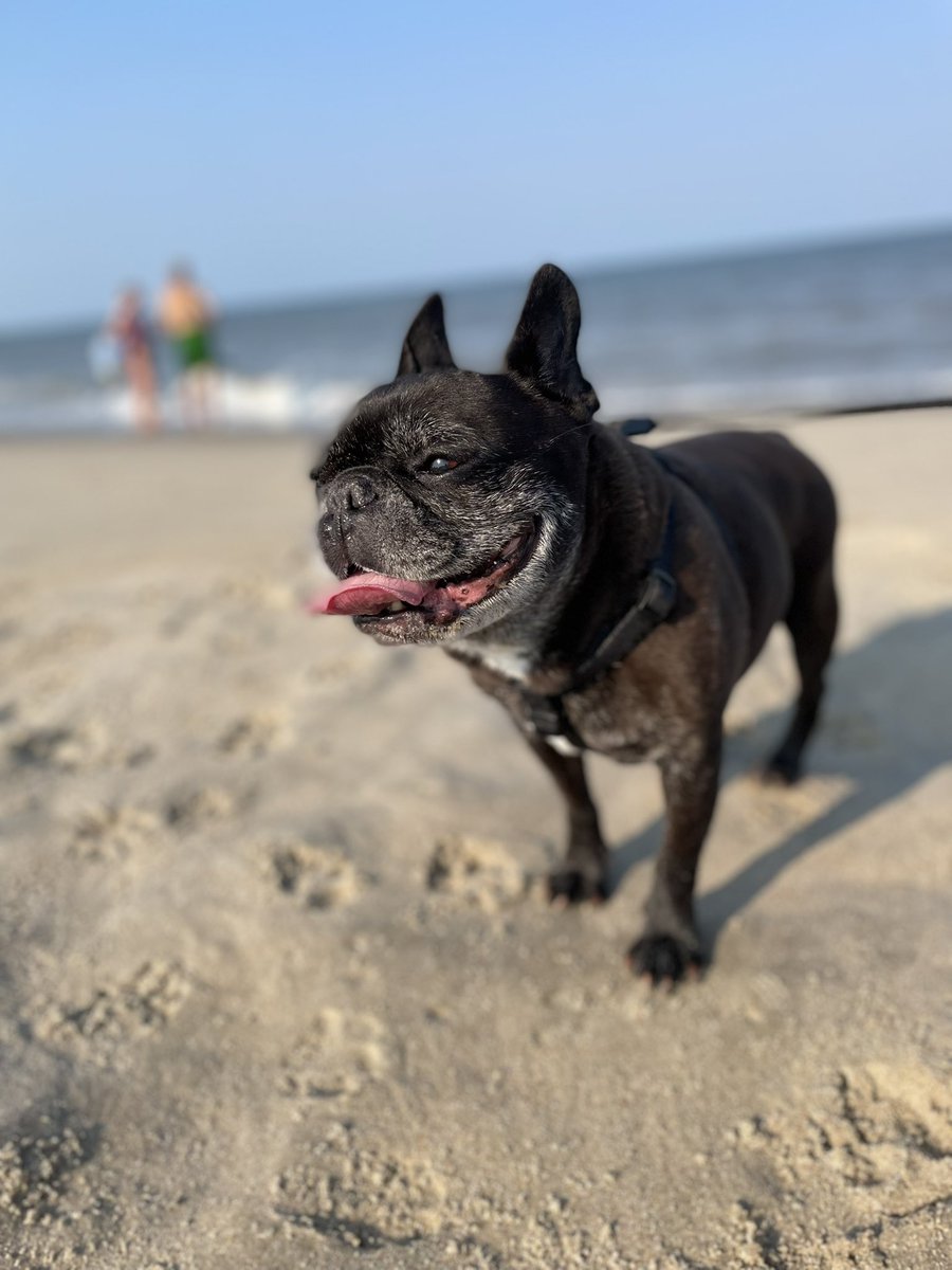 _Pierre21's tweet image. My favorite place ☀️🌊