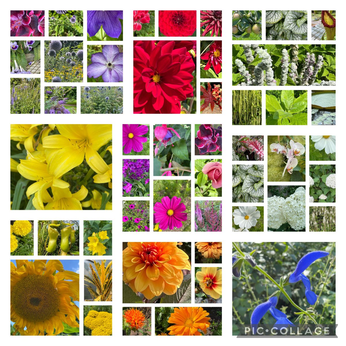 thingwallprima1's tweet photo. ππWe hope youβre all having a lovely holiday. Please share your βRainbows Of Natureβ photos with us. Upload any nature photo that interests you and you could be in with a chance of winning a prize! Donβt forget to tag @thingwallprima1 and add #rainbowsofnature Good luck! ππ https://t.co/57sV3iNBSx