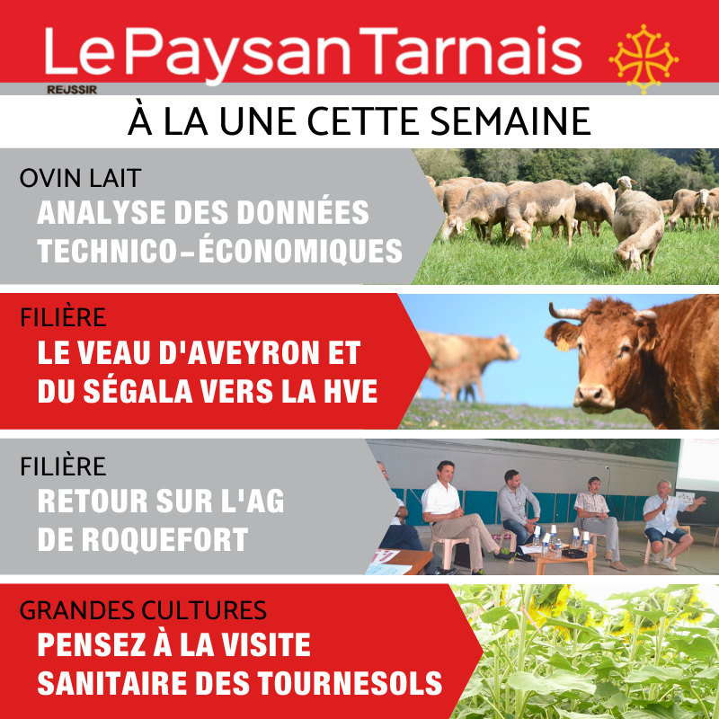 Le Paysan Tarnais 🗞 (@paysan_tarnais) on Twitter photo Le <a href="/Paysan_Tarnais/">Le Paysan Tarnais 🗞</a> sera dès demain sur vos tables et dèj ici : kiosque.paysantarnais.com avec les rubriques habituelles et :
🐑 Résultats du GTE #OvinLait
🐂 Le <a href="/VeauAS/">Veau Aveyron Ségala</a> IGP vers la #HVE
ℹ️ AG #ROQUEFORT
🌻 Conseils <a href="/terresinovia/">Terres Inovia</a> pour le #tournesol Le <a href="/Paysan_Tarnais/">Le Paysan Tarnais 🗞</a> sera dès demain sur vos tables et dèj ici : kiosque.paysantarnais.com avec les rubriques habituelles et :
🐑 Résultats du GTE #OvinLait
🐂 Le <a href="/VeauAS/">Veau Aveyron Ségala</a> IGP vers la #HVE
ℹ️ AG #ROQUEFORT
🌻 Conseils <a href="/terresinovia/">Terres Inovia</a> pour le #tournesol
