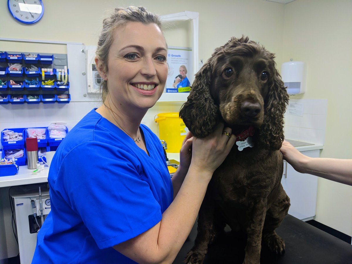 Meet perfect Poppy, the perky pet with a pesky pimple.  Luckily she’s in good hands with <a href="/Cat_The_Vet/">Cat The Vet</a> whose favourite job is zit-zapping! 😁

Catch up with all the action on The Pets Factor this Sunday, and you can watch all our previous episodes over on <a href="/bbciplayer/">BBC iPlayer</a> now 💻