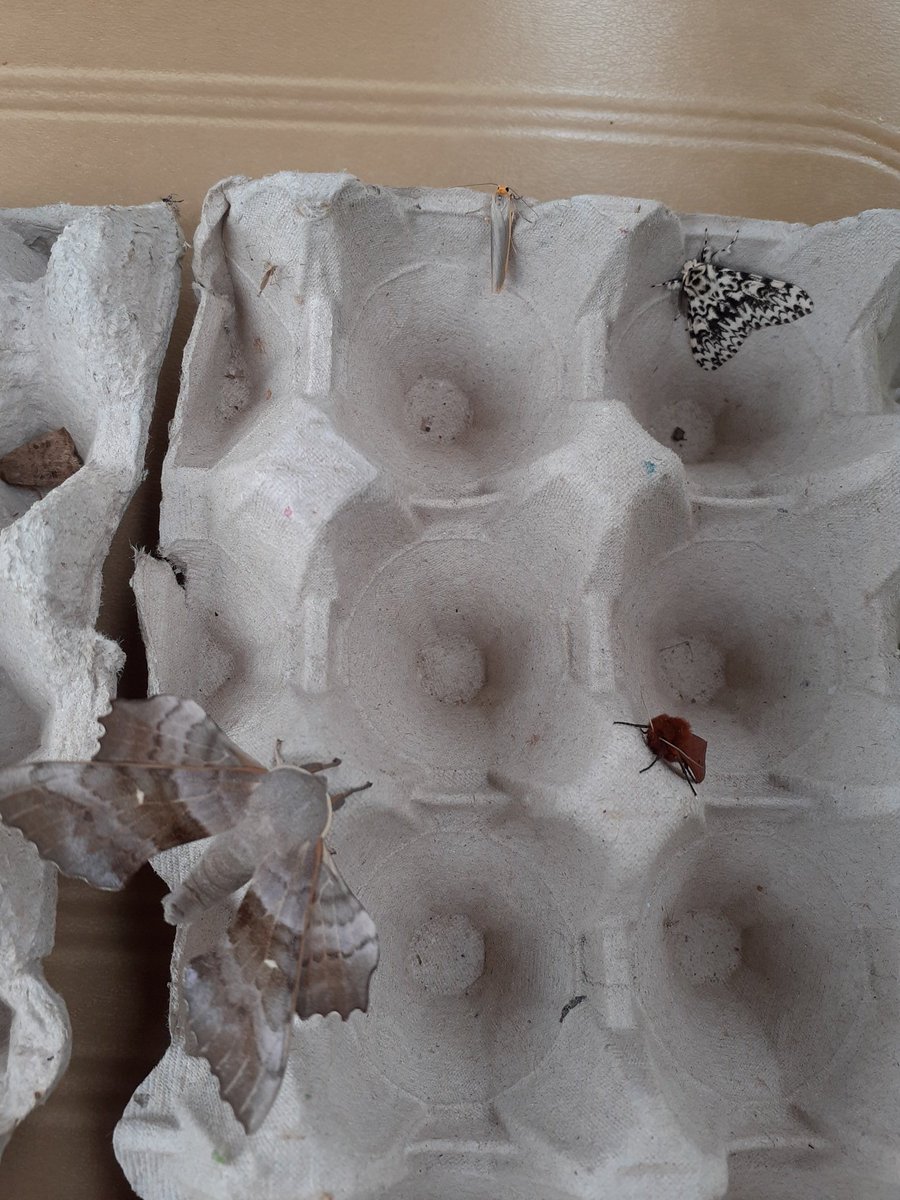 Jon Keepen tweet media