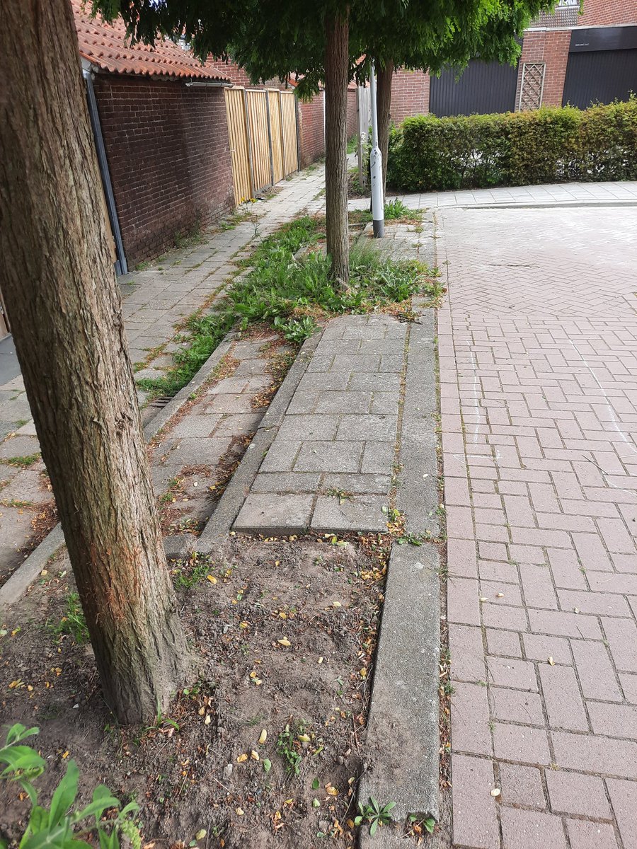 Beste <a href="/Gem_Terneuzen/">Gemeente Terneuzen</a>... ik dacht vorige week...geef nog een keer het goede voorbeeld maar geen resultaat😓. Of je geeft de bewoners meer ruimte en vrijheid qua onderhoud... of je zorgt er zelf voor als gemeente #burgerparticipatie #onderhoud #waardeloos #hoek <a href="/HoekStichting/">Stichting Dorpsbelangen Hoek</a>