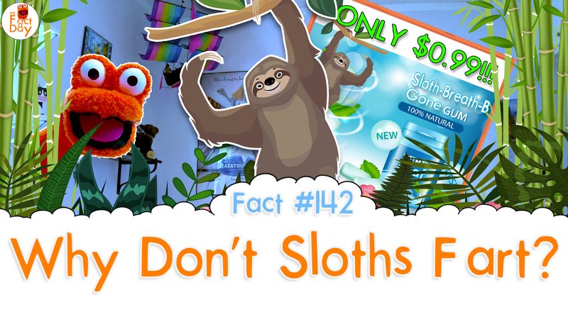 the_fact_a_day's tweet photo. Hi Friends! In today's fact we learn about Sloths! Mr. Toes teaches us why Sloths don't fart and why their breath doesn't smell too good.

#thefactaday #factoftheday #fact #education #kids #fun #interesting #mrtoes #sloths #slothfarts #gasx

https://t.co/9ybeE81jRu https://t.co/MB7hsmUSvX