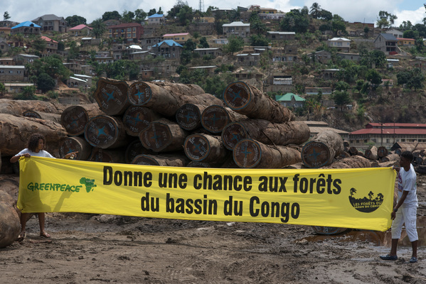 GreenpeaceAfrik's tweet image. LES PLANTATIONS NE SONT PAS DES FORÊTS!

Il faut mettre fin à la coupe à blanc illégale de terres ancestrales par Camvert pour donner place à des plantations d'huile de palme.
#SaveCongoRainforest