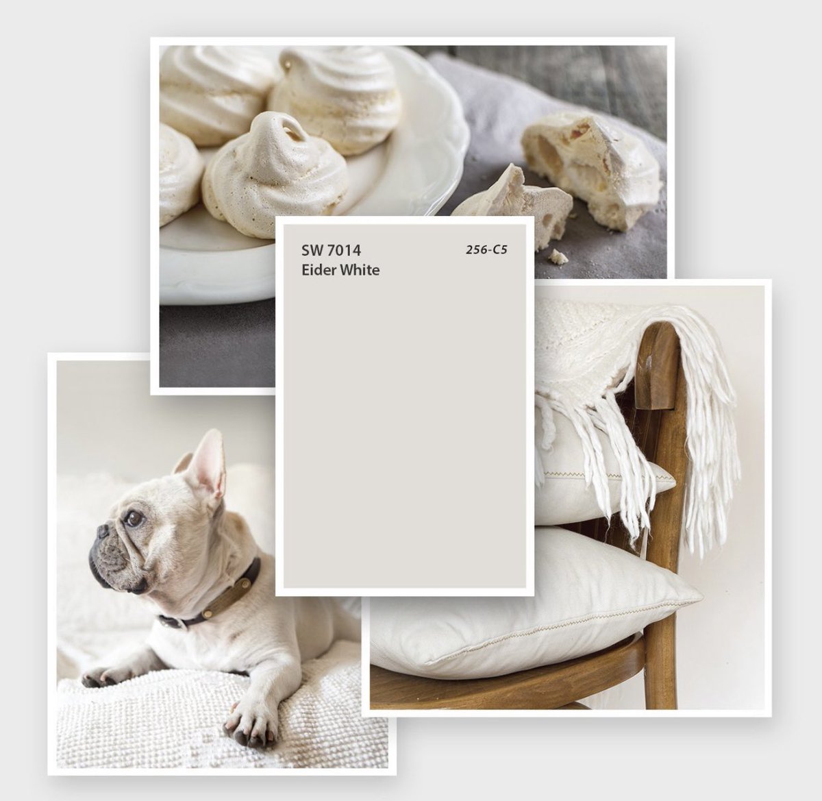 GroupFarris's tweet photo. How do you feel about Sherwin-Williams color of the month? Would you add this color to your home?
.
.
.

#missourirealtor #trustedadvisor #realtorspotlight #luxuryrealestate #Investor #fixandflip #beautiful #realtor #dreamhome #staginghomes #realestatestyle @MurneyRealtors https://t.co/HvxqPq3QyU