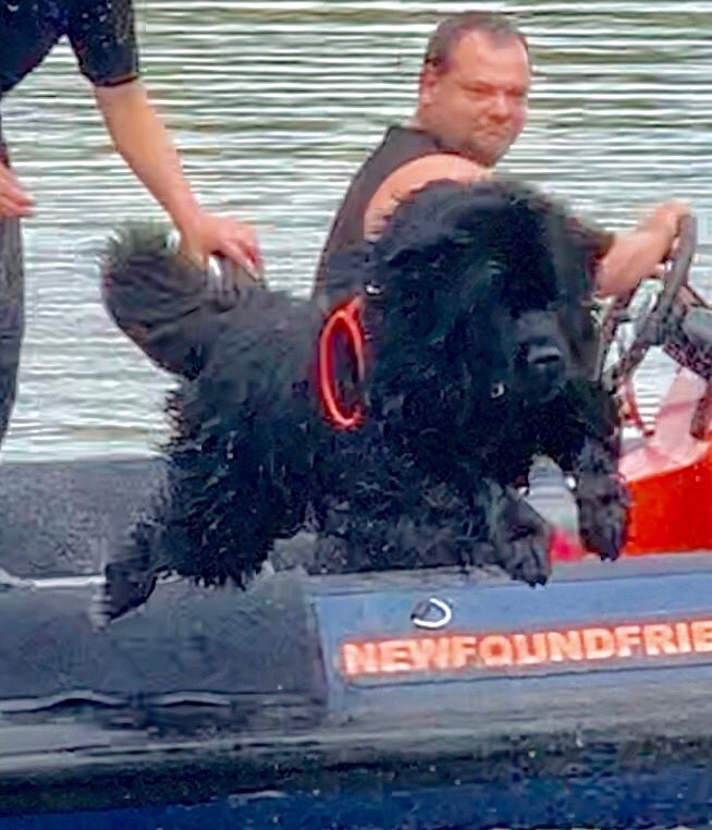 RT @NewfoundFriends: Thor to the rescue at Portishead Marina for the Bristol MS Centre charity day . https://t.co/0ocbiPGfEp