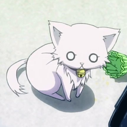 Slowly walk over to the cat food.

Sniff Sniff.

Nyaa! Eats it with delight.