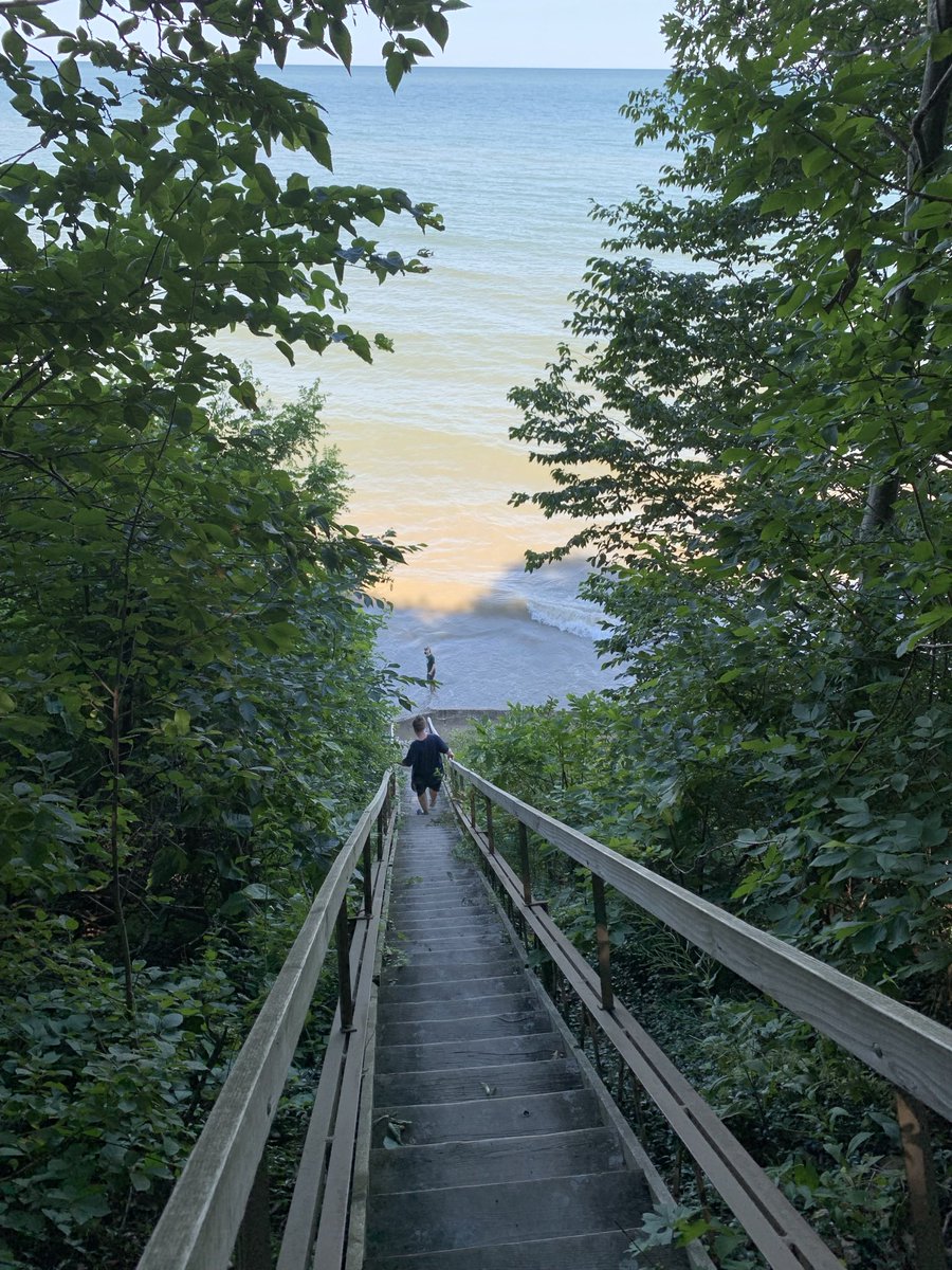 Laura Gordon tweet media