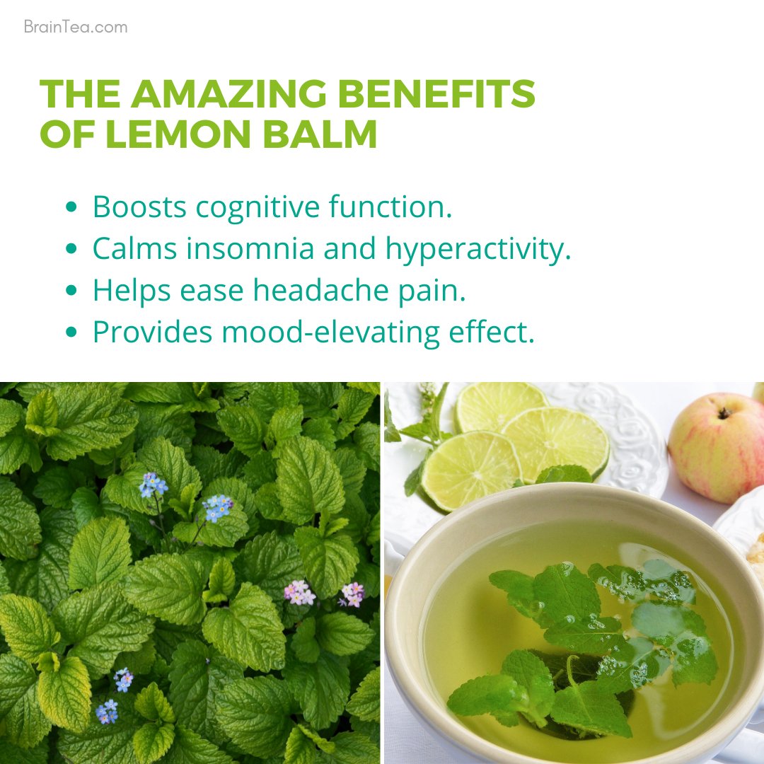 OrganicBoost's tweet image. Lemon balm is a medicinal herb attributed to memory-enhancing properties, used as a mild sedative, mood-elevating remedy, sleep aid, and digestive aid.
#lemonbalm #brainbooster #braintea
braintea.com/blogs/tea/lemo…