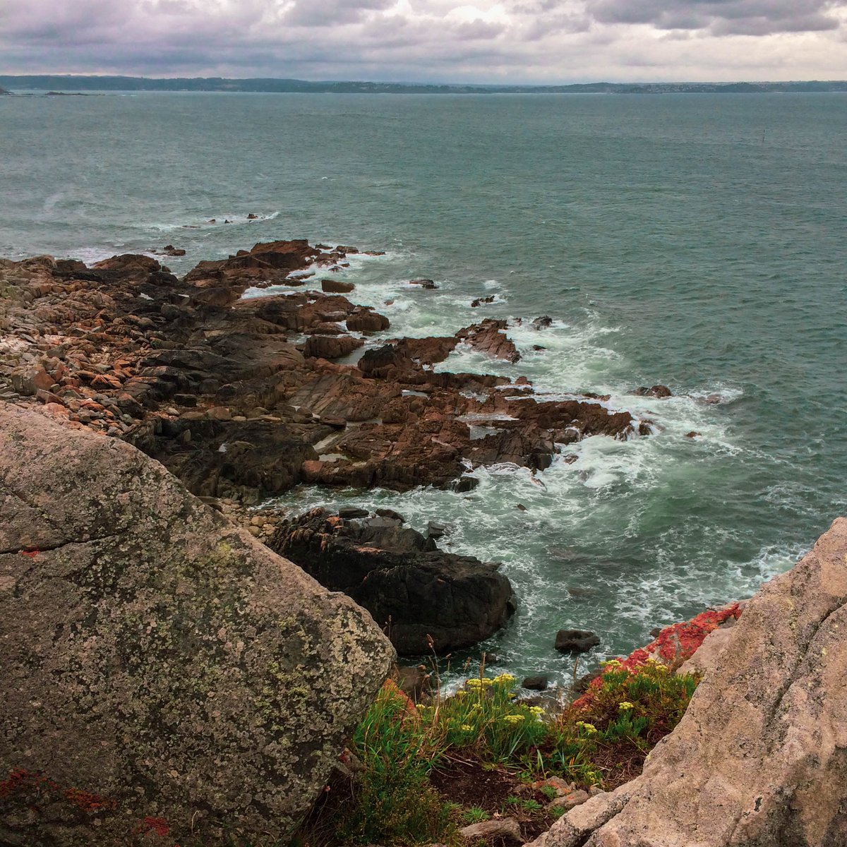 gabflrt's tweet image. #CLOUTNFT 
Here is my first NFT 
bitclout.com/posts/cbfed60b…