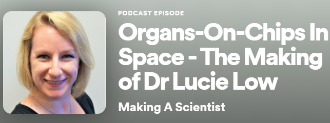 NortisInc's tweet photo. Great listen for your commute or work-from-home walk this Wednesday!
https://t.co/dv6VTgKOUW
Thank you @makeascientist and @drlucieinthesky!
#OrganOnChips #KidneyChips #TissueChips #ChipsInSpace https://t.co/LABJXnfcWr
