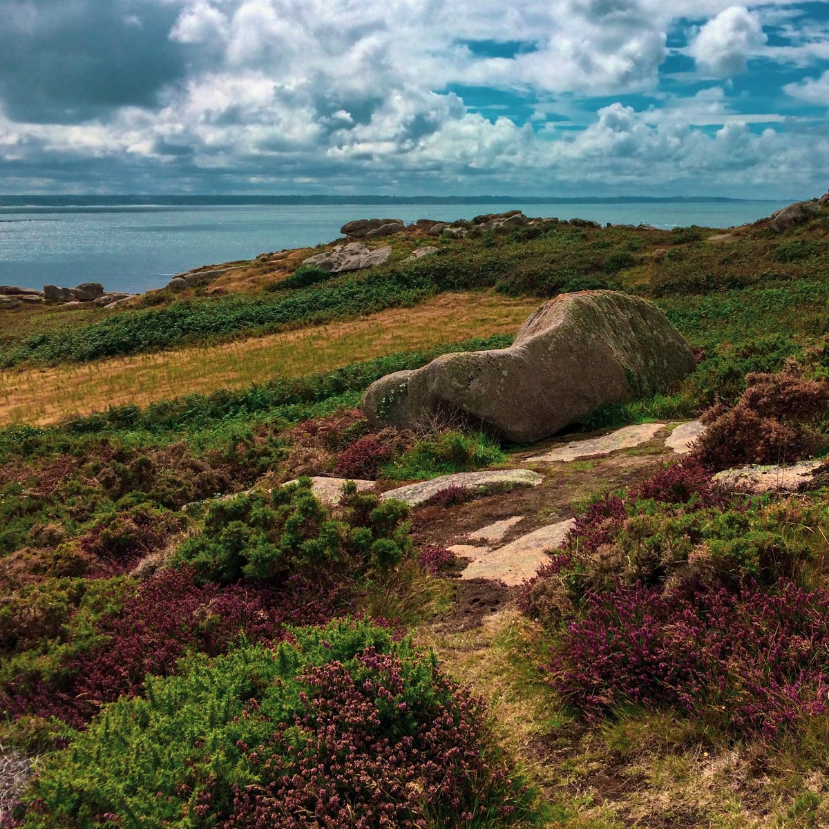 gabflrt's tweet image. #CLOUTNFT 
One of my first NFT
bitclout.com/posts/99983e39…