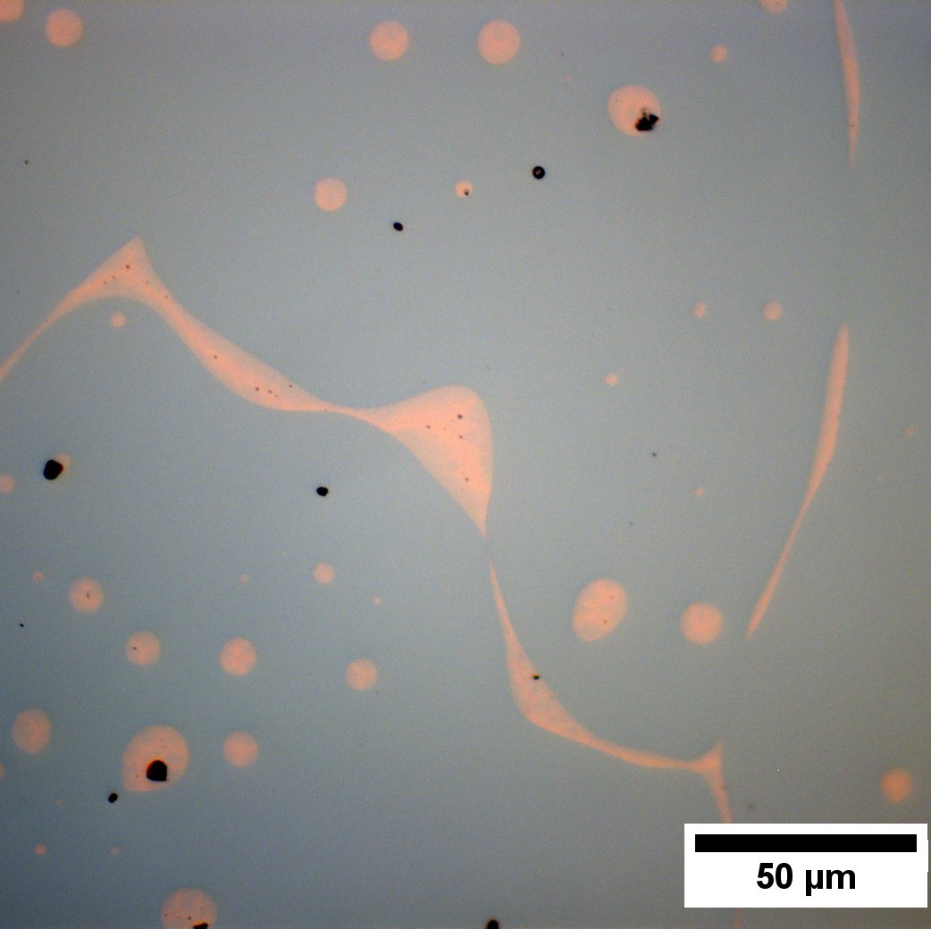 amanzoni2's tweet image. Friendly elements (in grey, all nicely mixed up) and a separatist a**hole. No recolouring.
CoCrCuFeNi #highentropyalloy #opticalmicroscopy