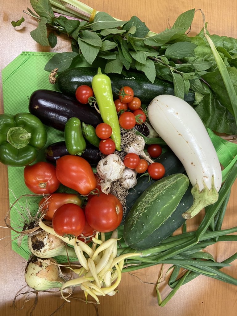 GLC GREENER (@greener_glc) on Twitter photo Plenty to be thankful for in today’s <a href="/ElementaryGlc/">GLC Elementary</a> harvest! 🧅🧄Onions, scallions, garlic are just a few of the many treats shared through <a href="/LBFoodService21/">LBFoodService2021</a>! <a href="/LBpublicschools/">Long Branch Public Schools</a> Plenty to be thankful for in today’s <a href="/ElementaryGlc/">GLC Elementary</a> harvest! 🧅🧄Onions, scallions, garlic are just a few of the many treats shared through <a href="/LBFoodService21/">LBFoodService2021</a>! <a href="/LBpublicschools/">Long Branch Public Schools</a>