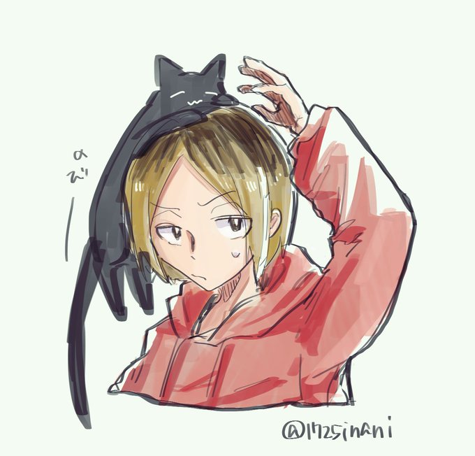 研磨と猫のtwitterイラスト検索結果