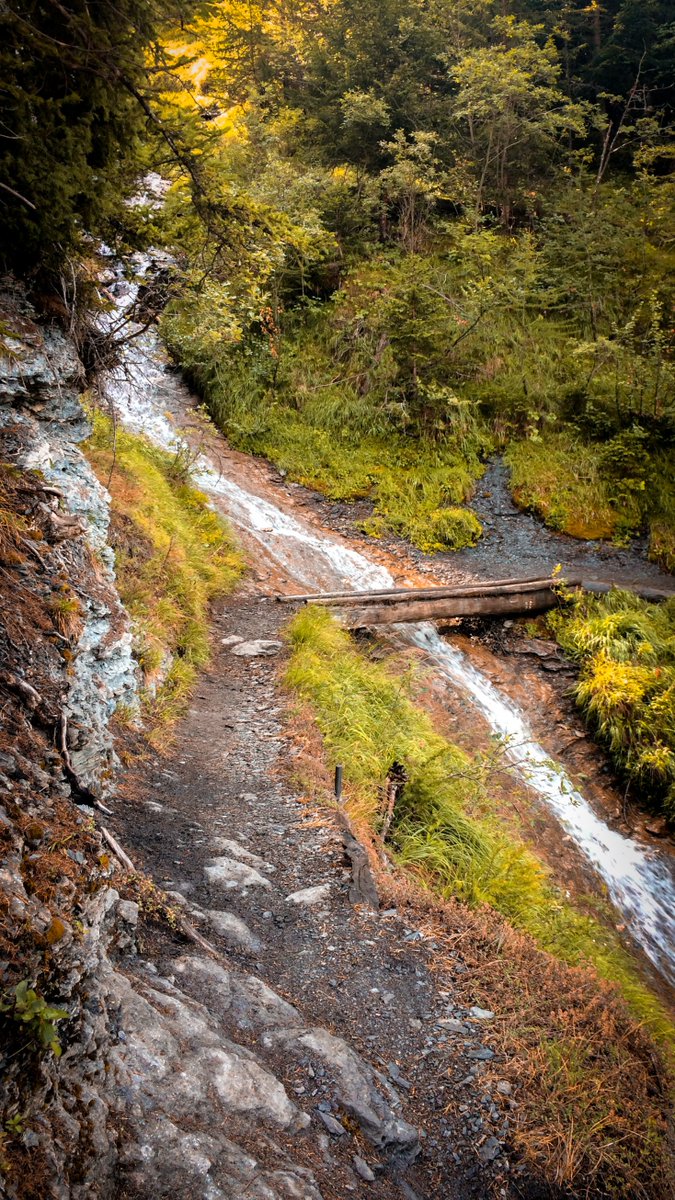 gabflrt's tweet image. #CLOUTNFT 
The bridge leading to the success !
bitclout.com/posts/01c6793a…