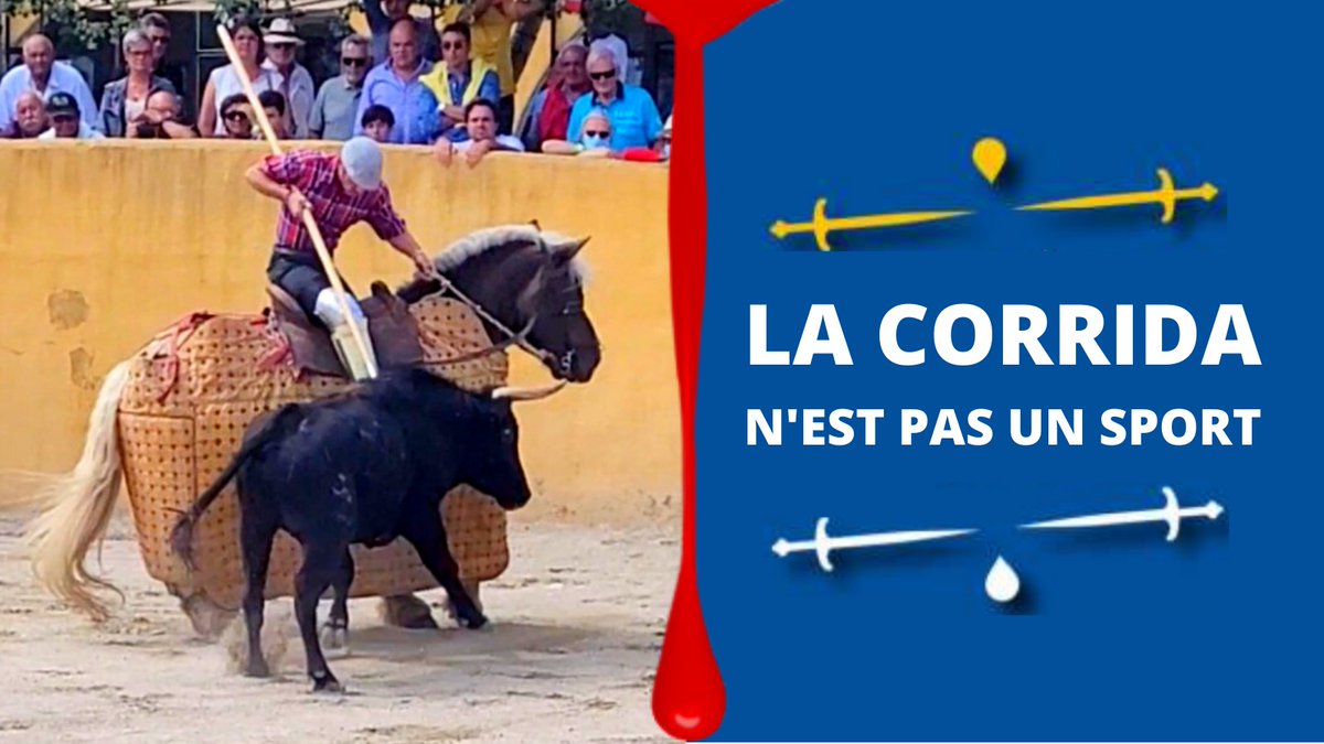 FBB_Officiel's tweet photo. 🙅🏻‍♂️🩸Aucun sport n’a pour objectif la mort de l’adversaire !
 😥⚔️ De nombreuses blessures profondes sont infligées au taureau, jusqu’à ce que le matador, muni d’une épée, provoque sa mort lente et douloureuse.
🙅🏼 NON, LA CORRIDA N'EST PAS UN SPORT ! https://t.co/UJHs3DahW5
