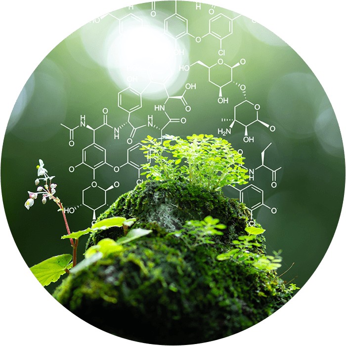 MicroMGx tweet media