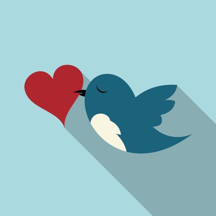 Галочка верификации твиттер. Твиттер логотип без фона. Твиттер логотип без фона. Иконка твиттера. B0k3p twitter.