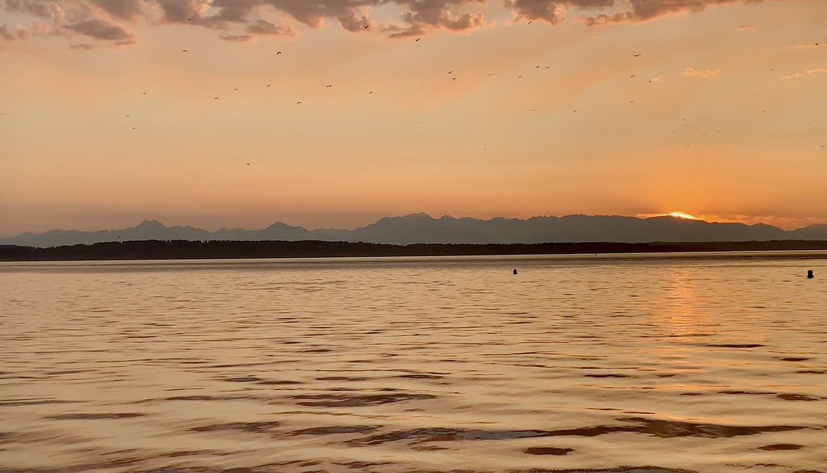 Nick Kendell 🏔 tweet media