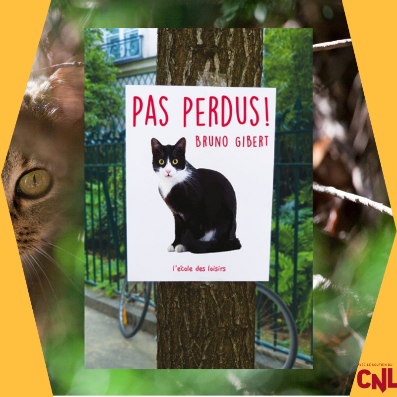 LeCNL's tweet photo. 😻🐈#JournéeInternationaleDuChat
En cette journée internationale du chat, voici une sélection #miaou à lire accompagné(e) de vos félins favoris pour ronronner de plaisir littéraire ensemble !
@Editionscaetla @ecoledesloisirs @EdBrunoDoucey https://t.co/Q9PTVhi8n9