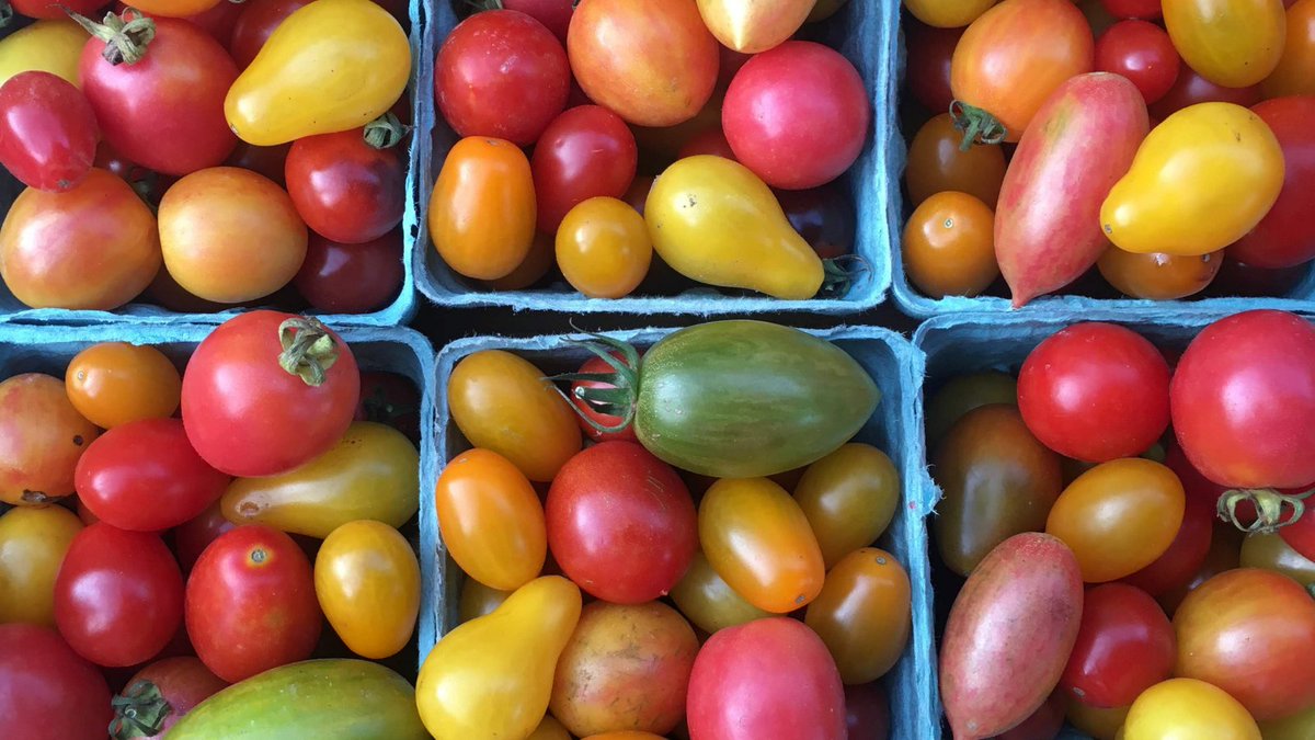 August 1-7 is National #FarmersMarketWeek!

The core of any #farmersmarket is, of course, its farms! And we love showing off all the goodness that Maryland grows. 🍅 🌽 🍓

#FederalHill #Baltimore #MyBmore #LoveMDMarkets #GrownInMaryland #FarmersMarketsAreEssential #LoveMyMarket