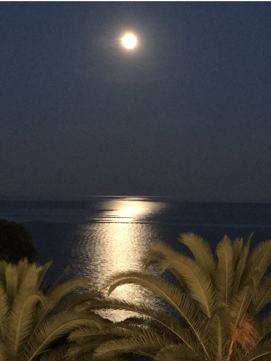 catijel's tweet photo. Je pensais que si la lune disparaissait, la mer se retirerait pour qu'on ne la voie pas pleurer. 
Que les vents cesseraient de danser. 
Que le soleil ne voudrait plus se lever.

Il n'en est rien. 
Le monde continue de tourner.

                 Antoine Leiris

       my 📷 https://t.co/tiRSt7ZX2L
