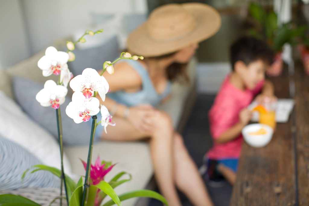 "Nature is a tool to get children to experience not just the wider world, but themselves."
- Stephen Moss
 #orchidlover #orchidcollection