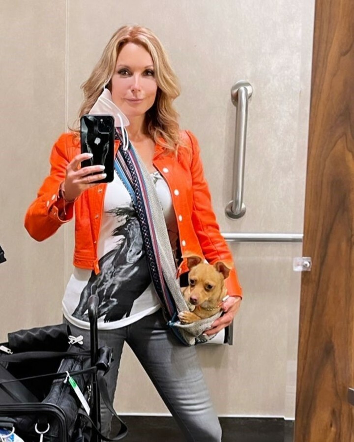 walkingpalmpet's tweet photo. Thanks, @traceybregman1 for tagging us! 
.
.
#walkingpalm #dogcarrier #petcarrier #dog #dogbag #dogs #dogsofinstagram #dogstagram #catcarrier #cat #petshop #instadog #petsofinstagram #petshoponline #dogaccessories #dogoftheday #dogbed #dogcarriers #petca… https://t.co/p1lhuPM4FO https://t.co/3dY6ihGLnN