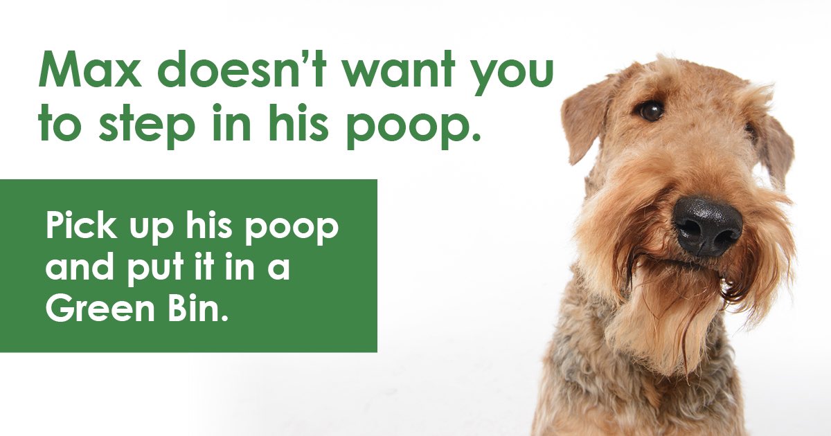 can i put dog poop in my green bin