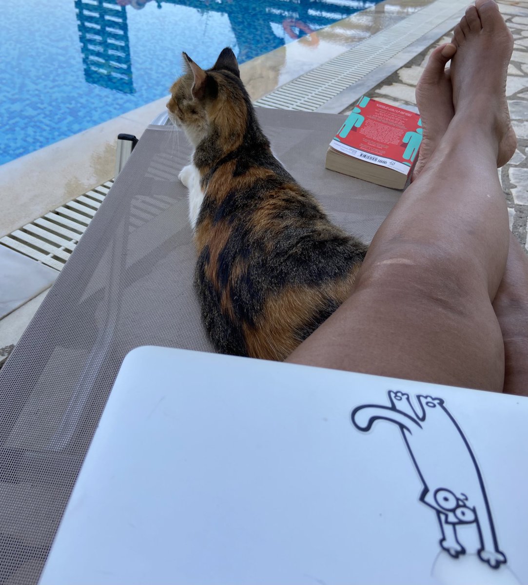 Michverilion's tweet photo. After being asked by @_ian_hunter how my draft was going and feeling guilty bcs OH made a point of telling me how he’d chosen the place making sure I had writing spots, I did some writing… and now this has happened… #WriterCats https://t.co/uQ0RzW6lZr