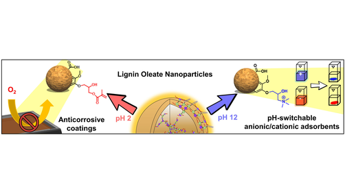 angew_chem's tweet photo. Unravelling the Hydration Barrier of Lignin Oleate Nanoparticles for Acid- and Base-Catalyzed Functionalization in Dispersion State (Sipponen) @MH_Sipponen @slabongroup @seyedehsanhadi https://t.co/eZAlvdrJYY https://t.co/V8FQ7spcMI