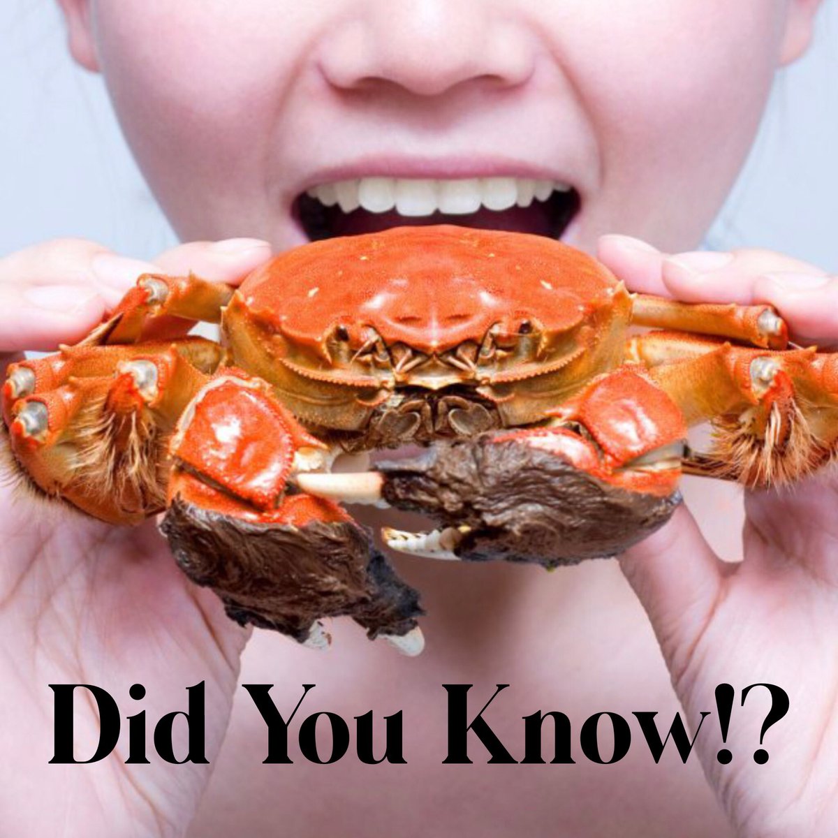 YES!! MORE CRAB PLEASE!! According to <a href="/wedmd/">WEDMD</a> Crab is packed with prot. Crab also contains high levels of omega-3 fatty acids, vitamin B12, and selenium. These nutrients play vital roles in improving general health while helping prevent a variety of chronic conditions. #crab