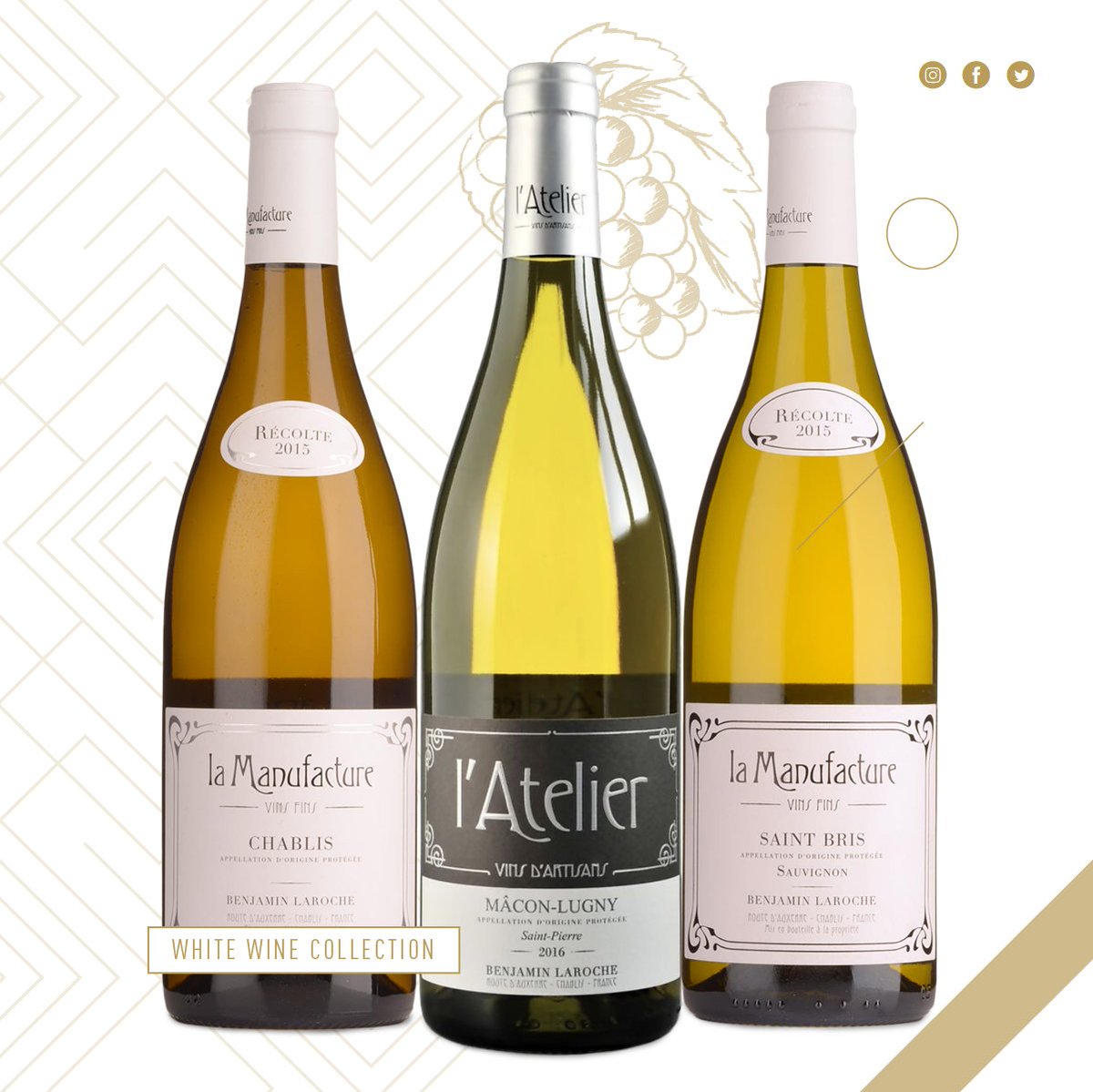 Starlite_tt's tweet photo. It's white wine day! Clink clink bbys 🥂 ✨

La Manufacture Chablis- $285
La Manufacture Saint Ibis- $325
L'Atelier Mâcon-Lugny- $265 https://t.co/SEPUlSF6Wq