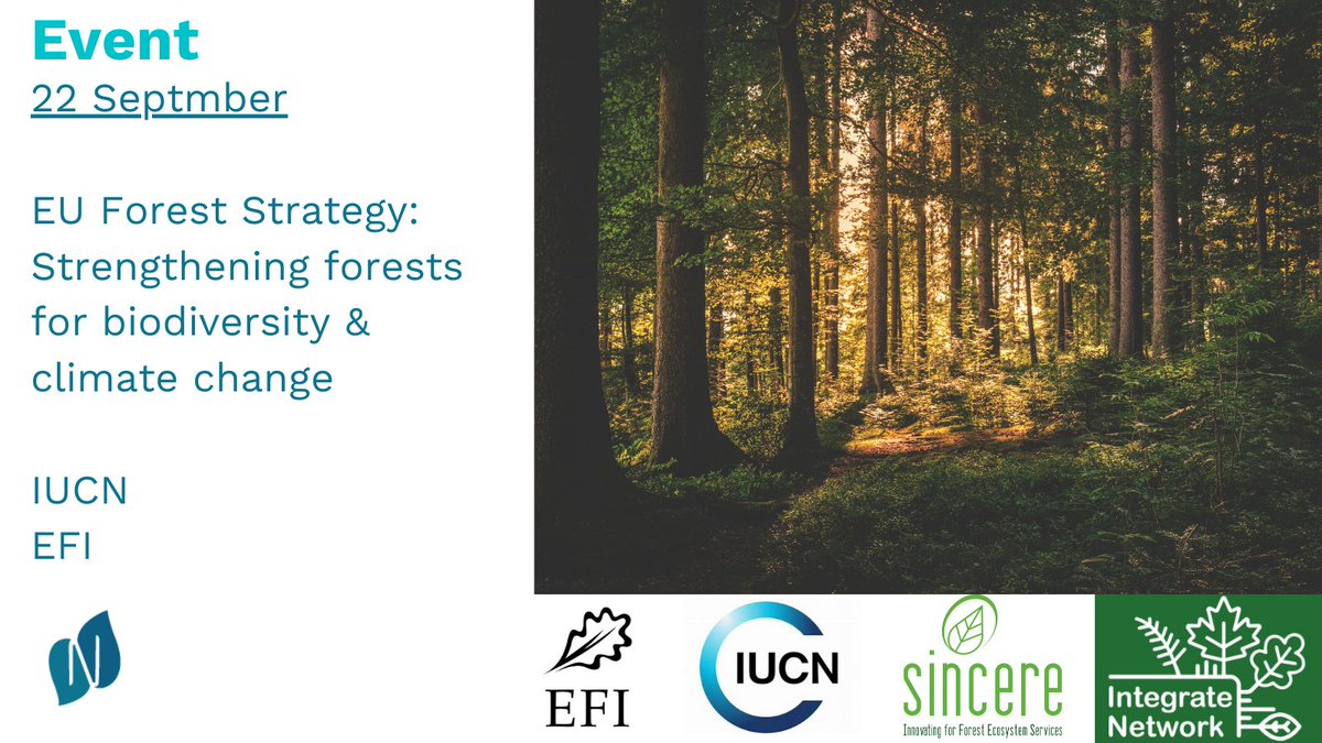 @IUCN & @europeanforest are hosting a webinar on the new EU #ForestStrategy on 22 September to reflect on the pathways for action strengthening the role of #forests in achieving #biodiversity & #climate targets

@SincereForests #integratenetwork
Register: bit.ly/3xzlcRr