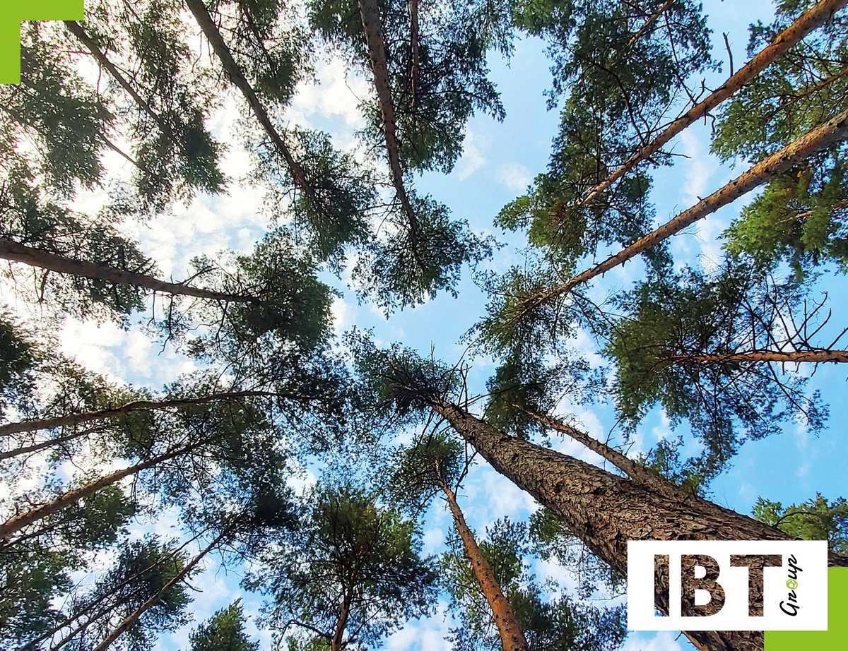 GroupIBT's tweet photo. Great values, great effort, great results 🙌🏼
In over 20 years of activity, #IBTGroup has not released into the atmosphere more than 80.000 tons of CO2. Yes, you’ve read it right. Change is good and is happening right now! #CleanTech https://t.co/ECsnPzxWwn