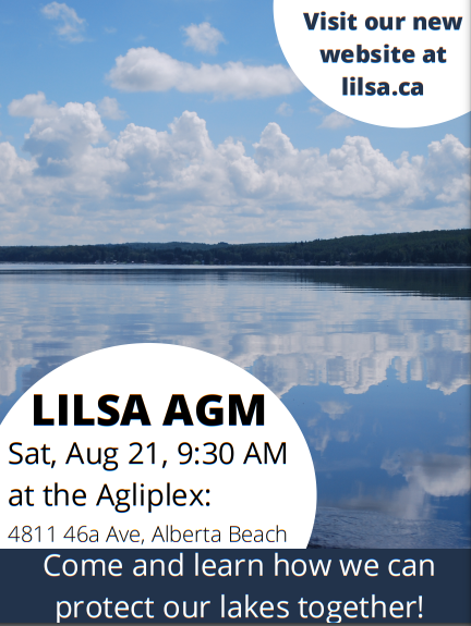 LilsaWater's tweet photo. Join us for our upcoming Annual General Meeting. ๐
Date: August 21, 2021
Time: 9:30 AM
Please feel free to print, share and distribute this poster to our local Lake Isle and Lac Ste. Anne communities.
#AlbertaLake #LakeStewardship #Volunteer https://t.co/2lbDmFFRPc