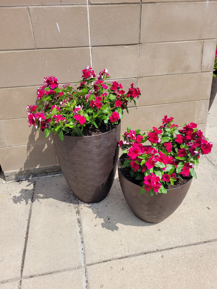 Megan Wagonfield tweet media