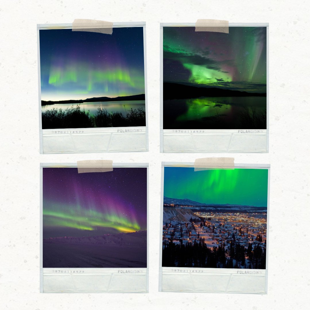 Before you know it, the shimmering shades of green, blue and red begin their dance across the sky. This is no fireworks show, it’s the Aurora Borealis – the most breathtaking natural spectacle in the North. ✨

👉 epic-north.com/yukon-alaska-d… 

#travel #traveldestinations #travelyukon